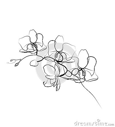 One line drawing orchid sketch.Modern single line art, aesthetic contour. Vector Illustration